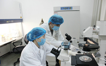 Lab