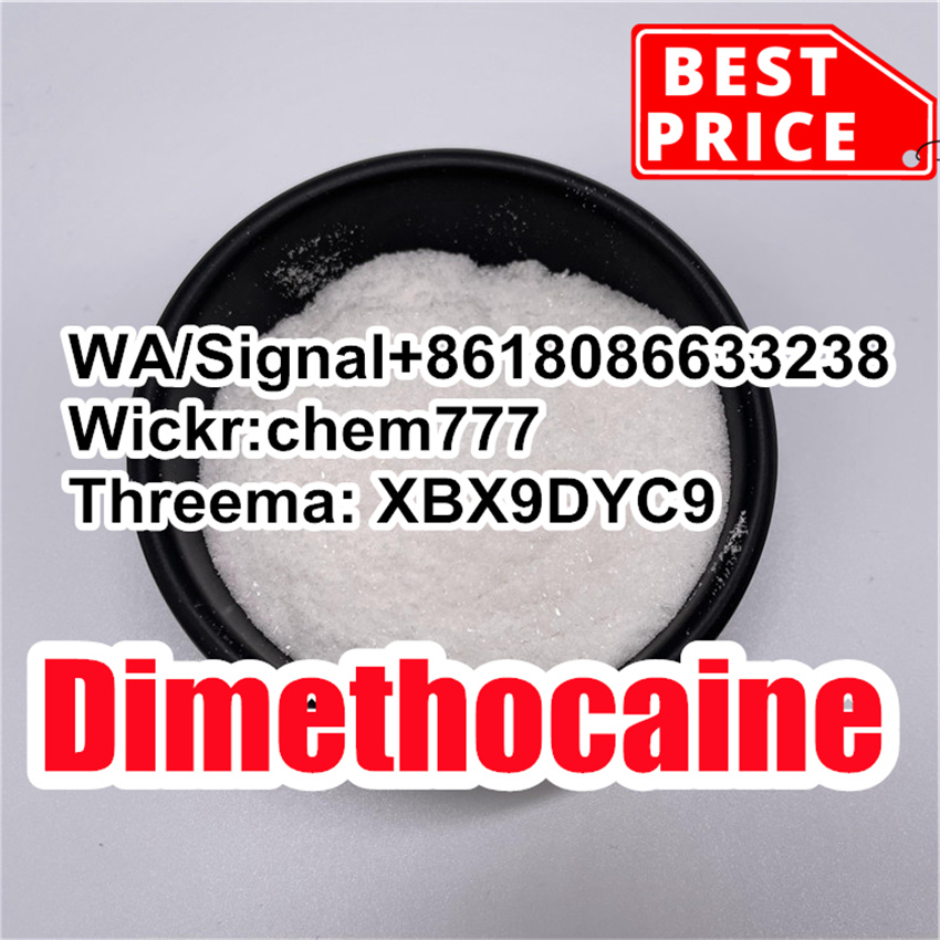 Dimethocaine Powder Competitive Price