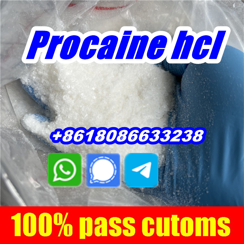 Buy Procaine hydrochloride hcl Procaina