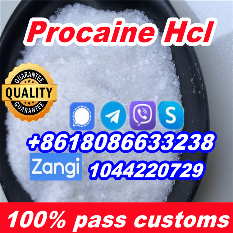 Buy Procaine hcl 51-05-8 for sale
